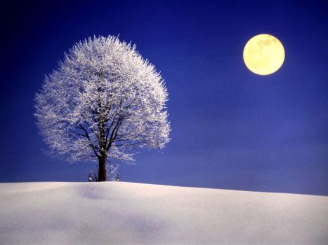 Winter-Night-with-Full-Moon-1024x768-wide-wallpapers.net-